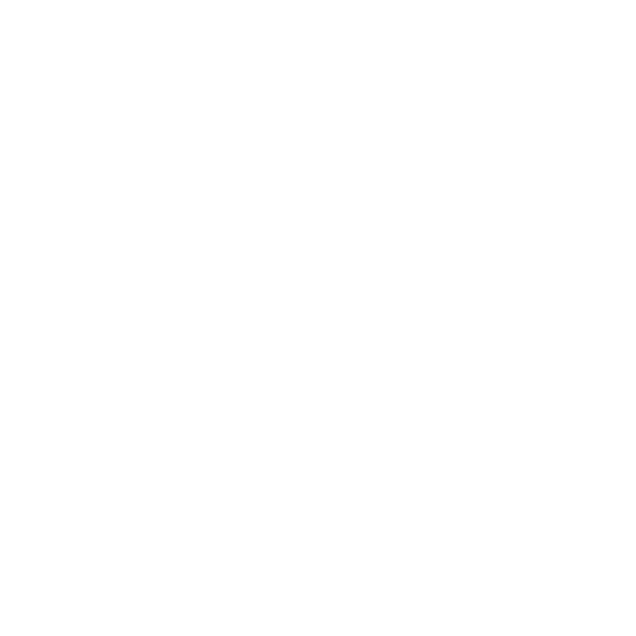 Hausmeister